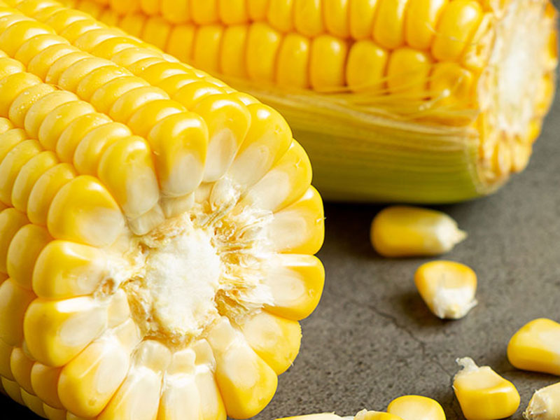 export-corn-01